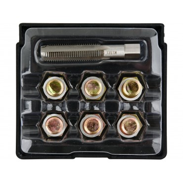 SET REPARAT BUȘOANE BAIE DE ULEI M13X1,5