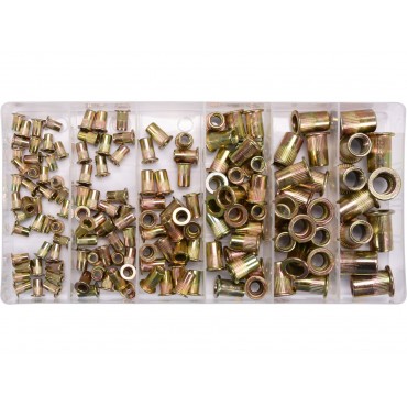 SET PIULIȚE NITUIBILE OȚEL, M3-M10, 150 BUC
