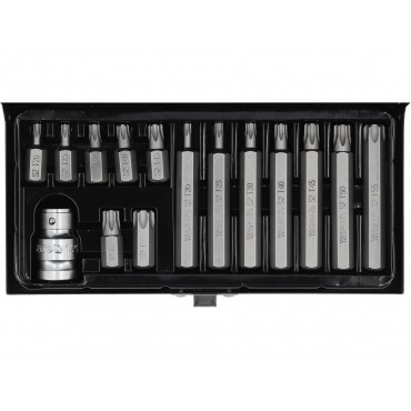 SET BIȚI TORX 15 PIESE