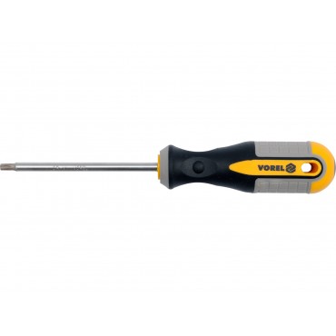SURUBELNIȚĂ TORX T10X100MM