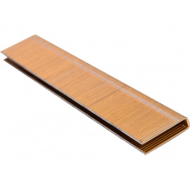 CAPSE 21X5,5MM, 2200 BUC