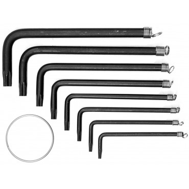 SET 8 CHEI TORX, T10-T40