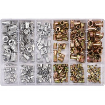 SET PIULIȚE NITUIBILE OȚEL/ALUMINIU, M3-M10, 300 BUC
