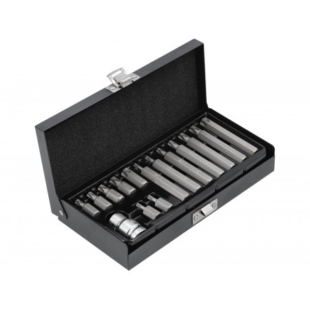 SET BIȚI TORX 15 PIESE T20-T55